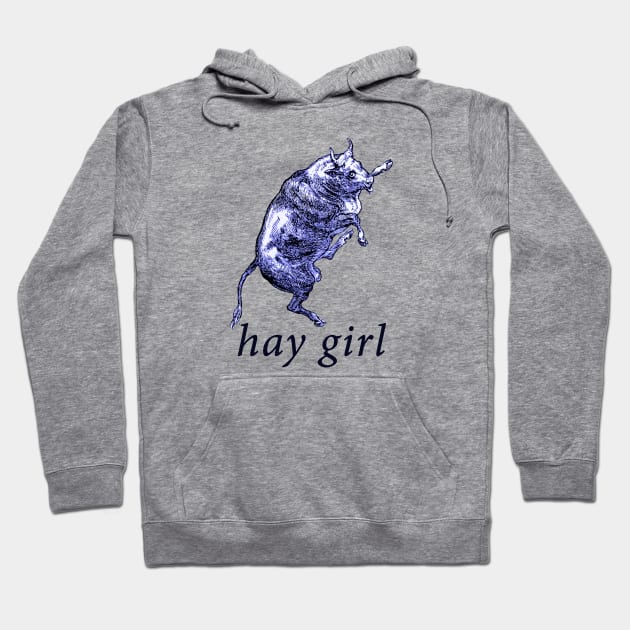 hay girl. Hoodie by alienfolklore